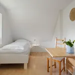 Дом отдыха Reetdachhaus Simon Reetdachhaus Simon Bohl